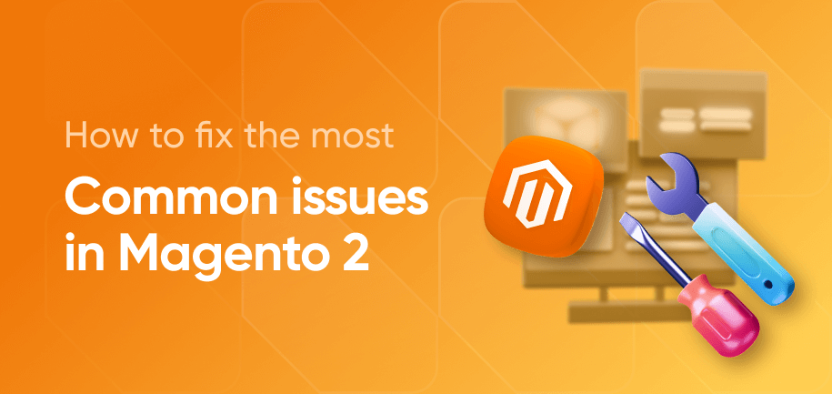 Magento 2 common issues