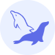 database